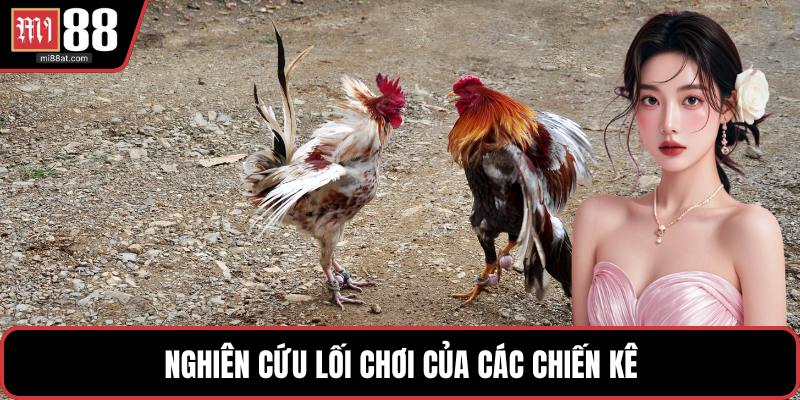 Nghiên cứu lối chơi của các chiến kê